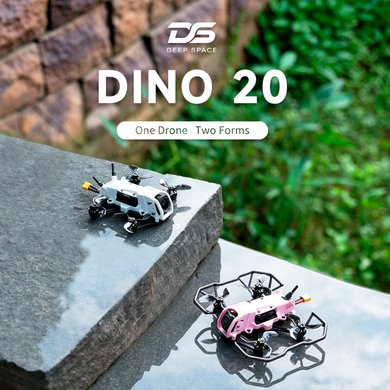 DeepSpace DINO 20 2inch ELRS2. - Drone Rc Holder review and price